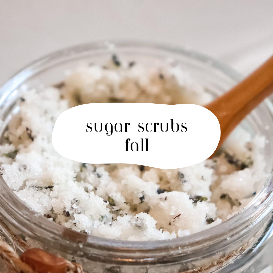 Sugar Body Scrub - Fall Scents - Wholesale
